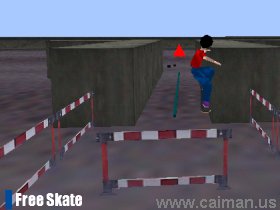 The Old Remedy 3D Skateboarding