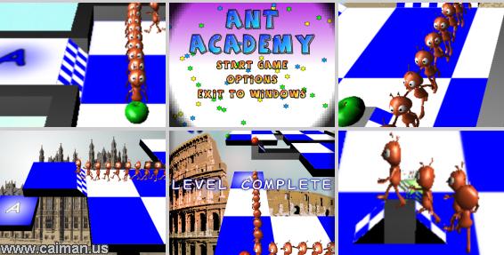 Ant Academy