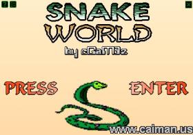 Snake World