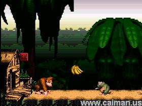 Donkey Kong Island 2