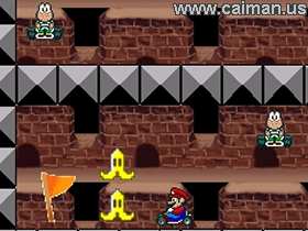 Mario Labyrinth