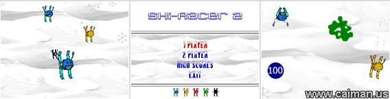 Ski-Racer 2