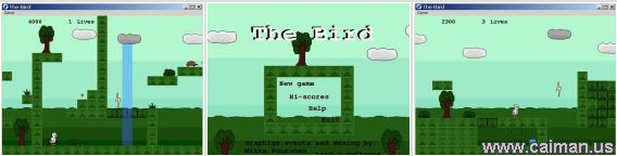 The Bird