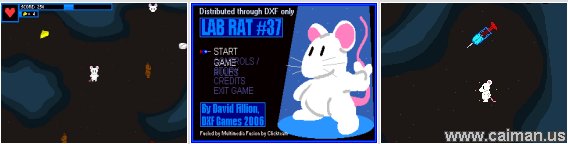 Lab Rat #37