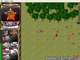 Command without Conquer : Stef Alert