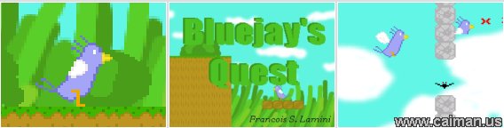 Bluejay's Quest