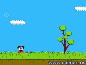 Super Duck Hunt