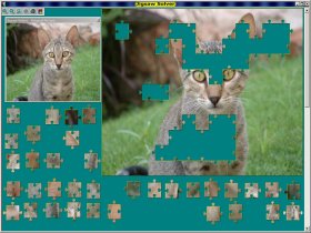 Jigsaw Solver 32
