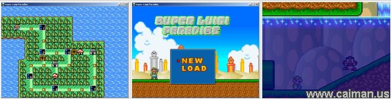 Super Luigi Paradise