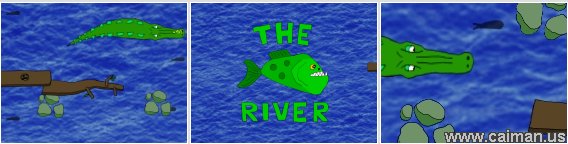 The Piranha River