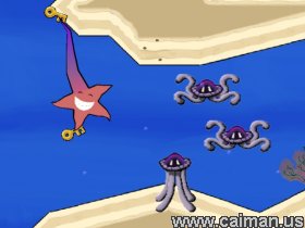 Squishy the Starfish