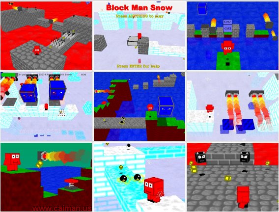 Mega Block Man