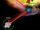Star Trek: The Neutral Zone