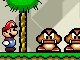 Super Mario: Mushroom Chaos