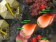 Download Free Game
