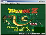DragonBall Z Chio puzzle
