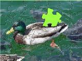 Jigsaw Puzzle for Kids - Duck